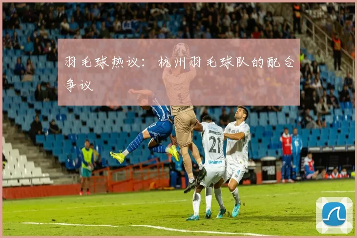 羽毛球热议：杭州羽毛球队的配合争议