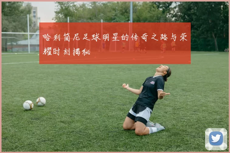 哈利简尼足球明星的传奇之路与荣耀时刻揭秘