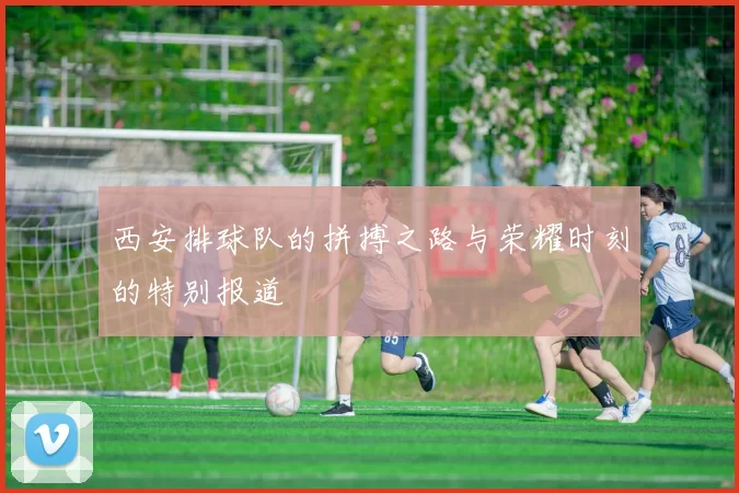 西安排球队的拼搏之路与荣耀时刻的特别报道