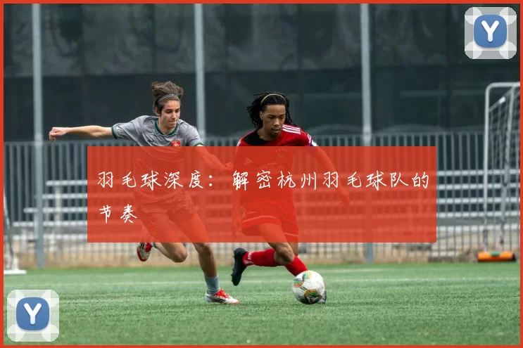 羽毛球深度：解密杭州羽毛球队的节奏