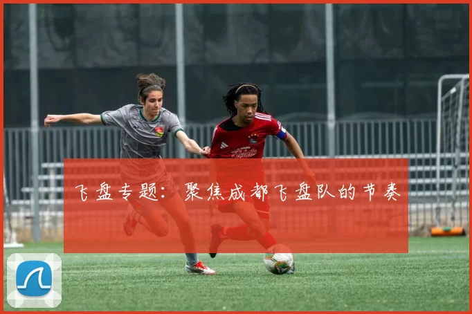 飞盘专题：聚焦成都飞盘队的节奏
