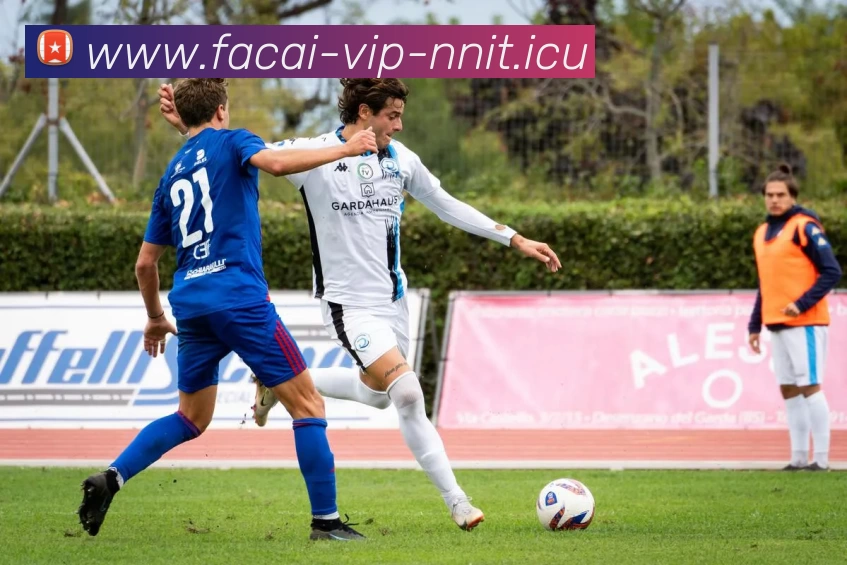 乐竞体育注册品牌故事